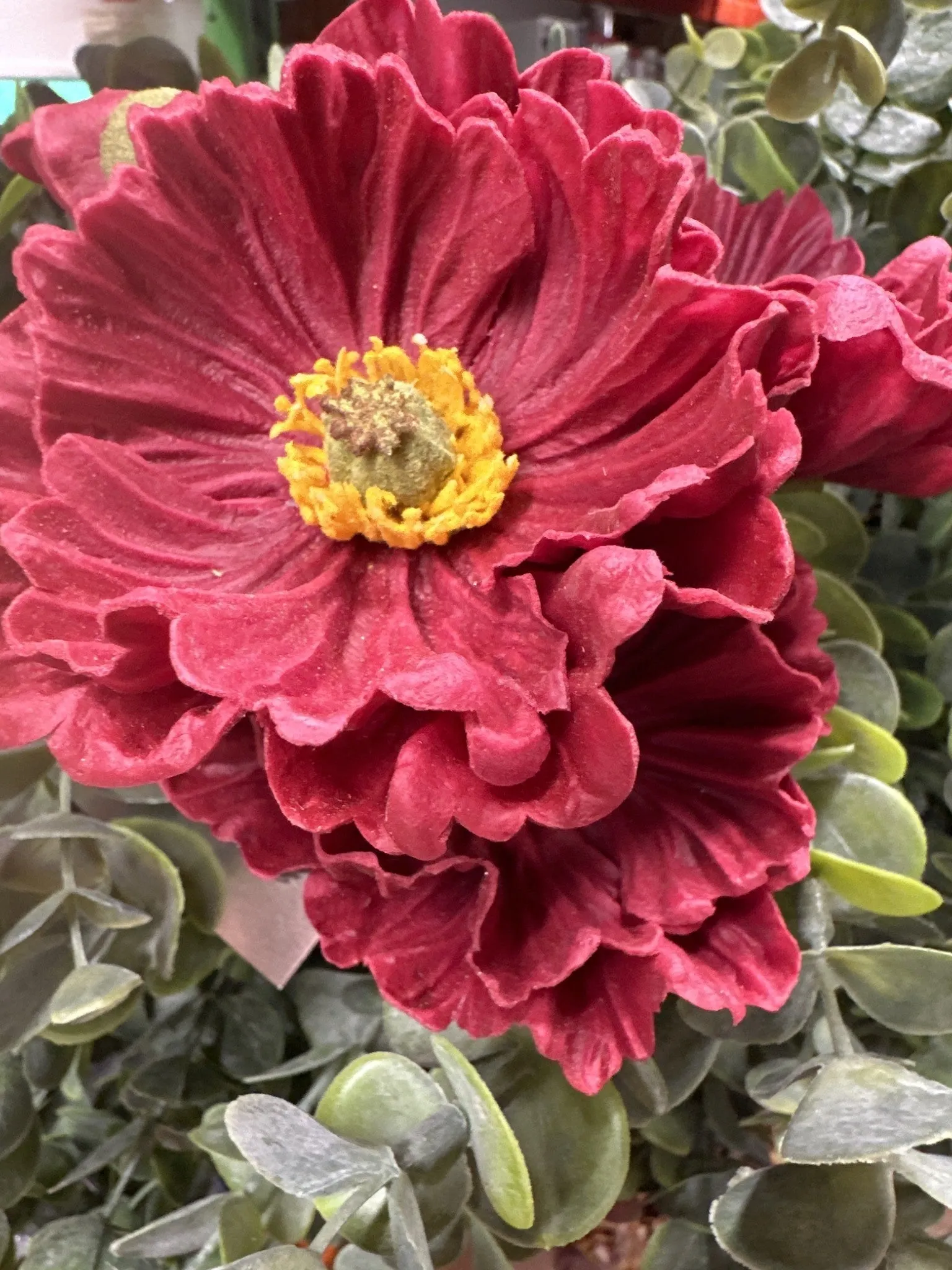 13" Burgundy Real Touch Poppy Bundle