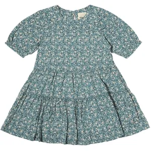 Alice Dress- Evermore