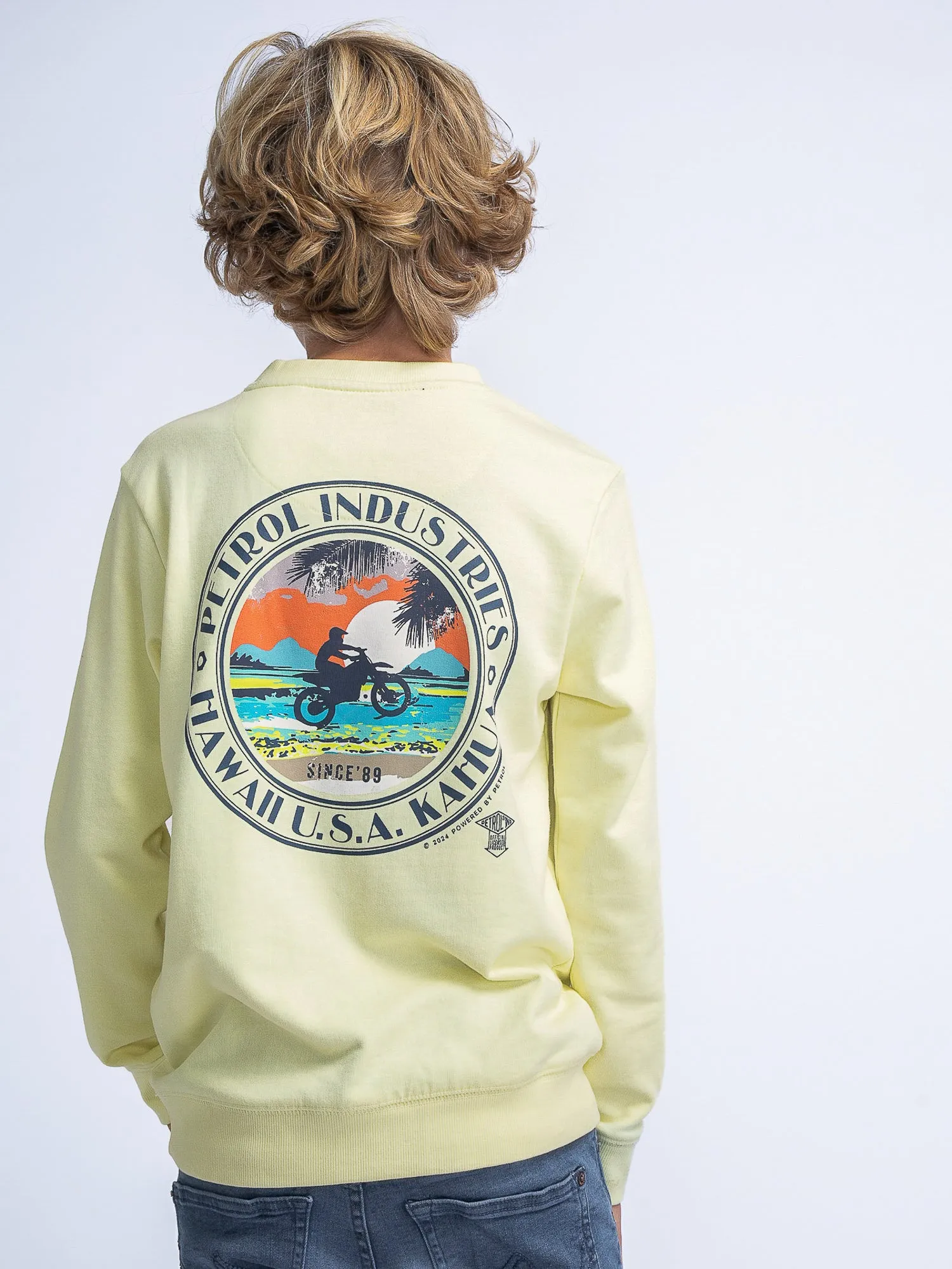 Artwork Sweater Scoot