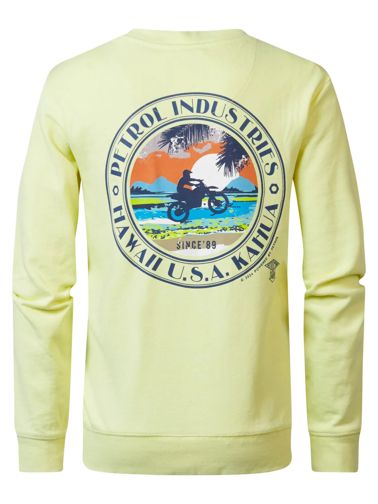 Artwork Sweater Scoot
