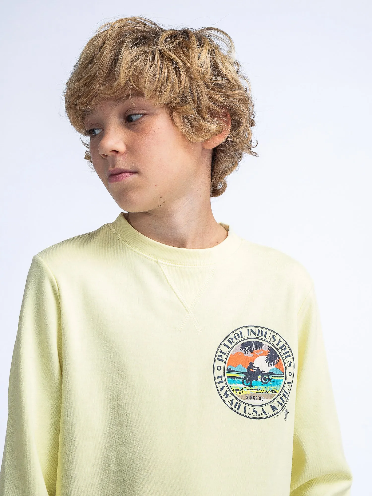Artwork Sweater Scoot