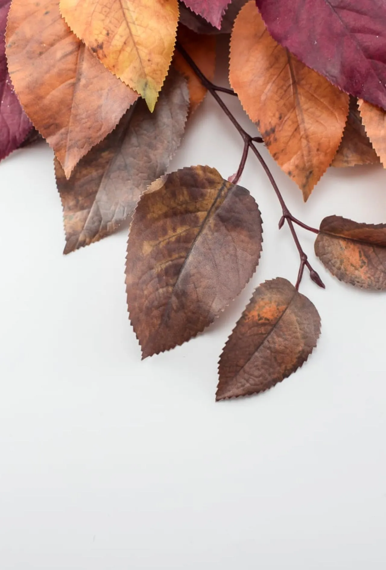 Autumn salal leaves spray - brown plum