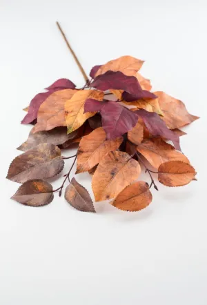Autumn salal leaves spray - brown plum