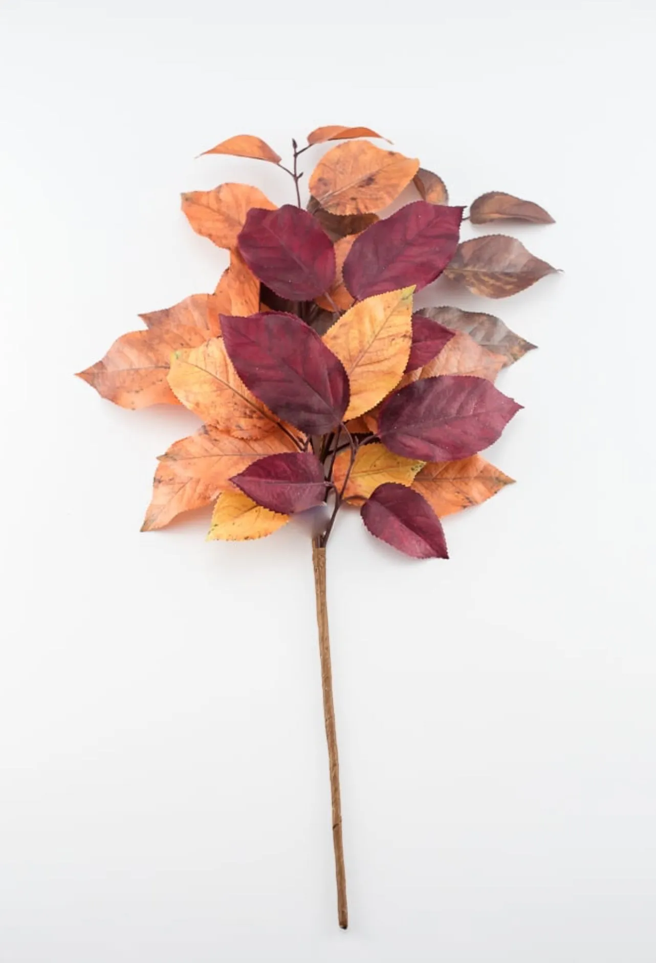 Autumn salal leaves spray - brown plum