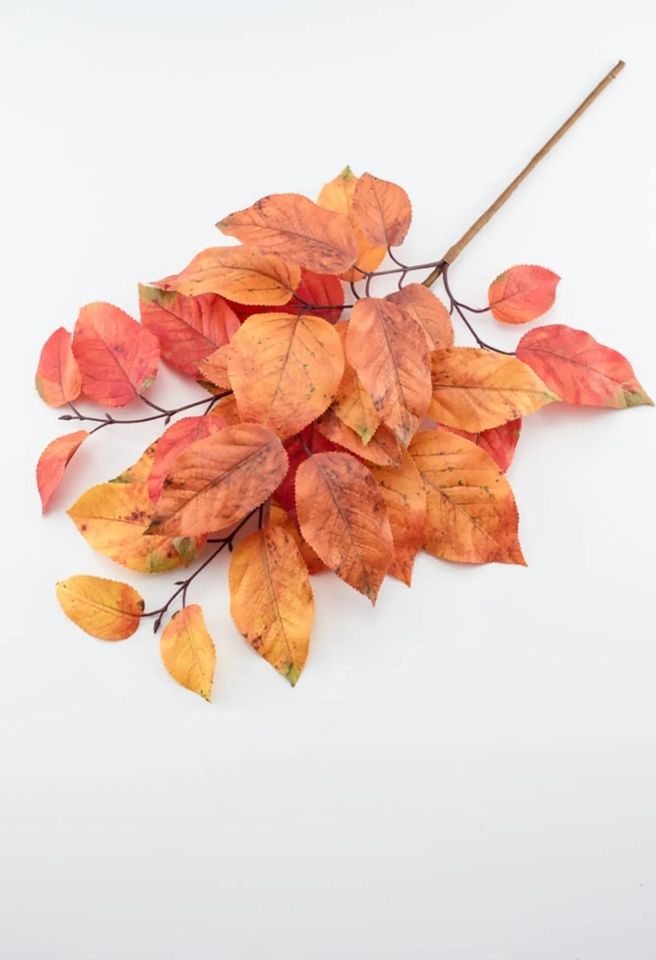 Autumn salal leaves spray - rust orange