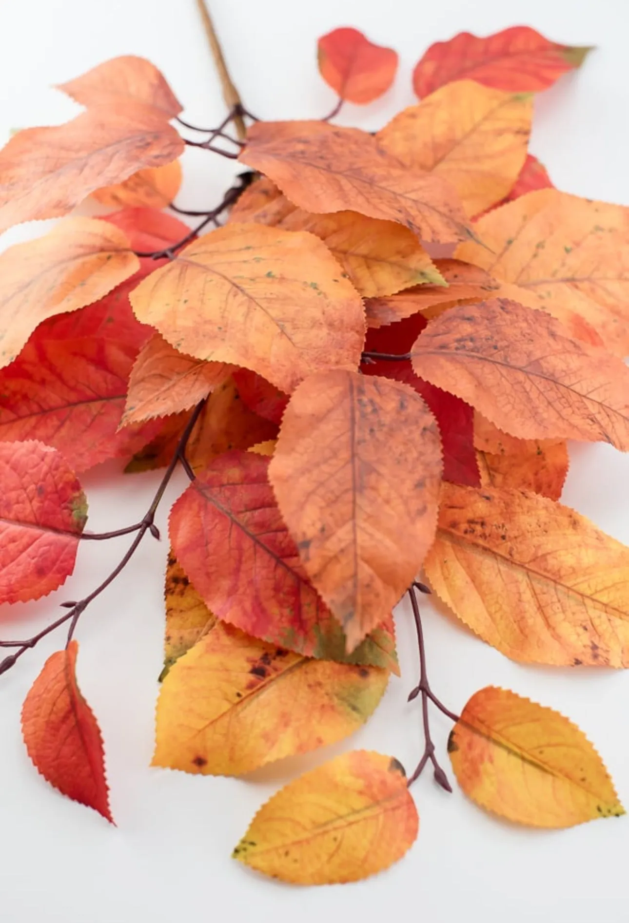 Autumn salal leaves spray - rust orange