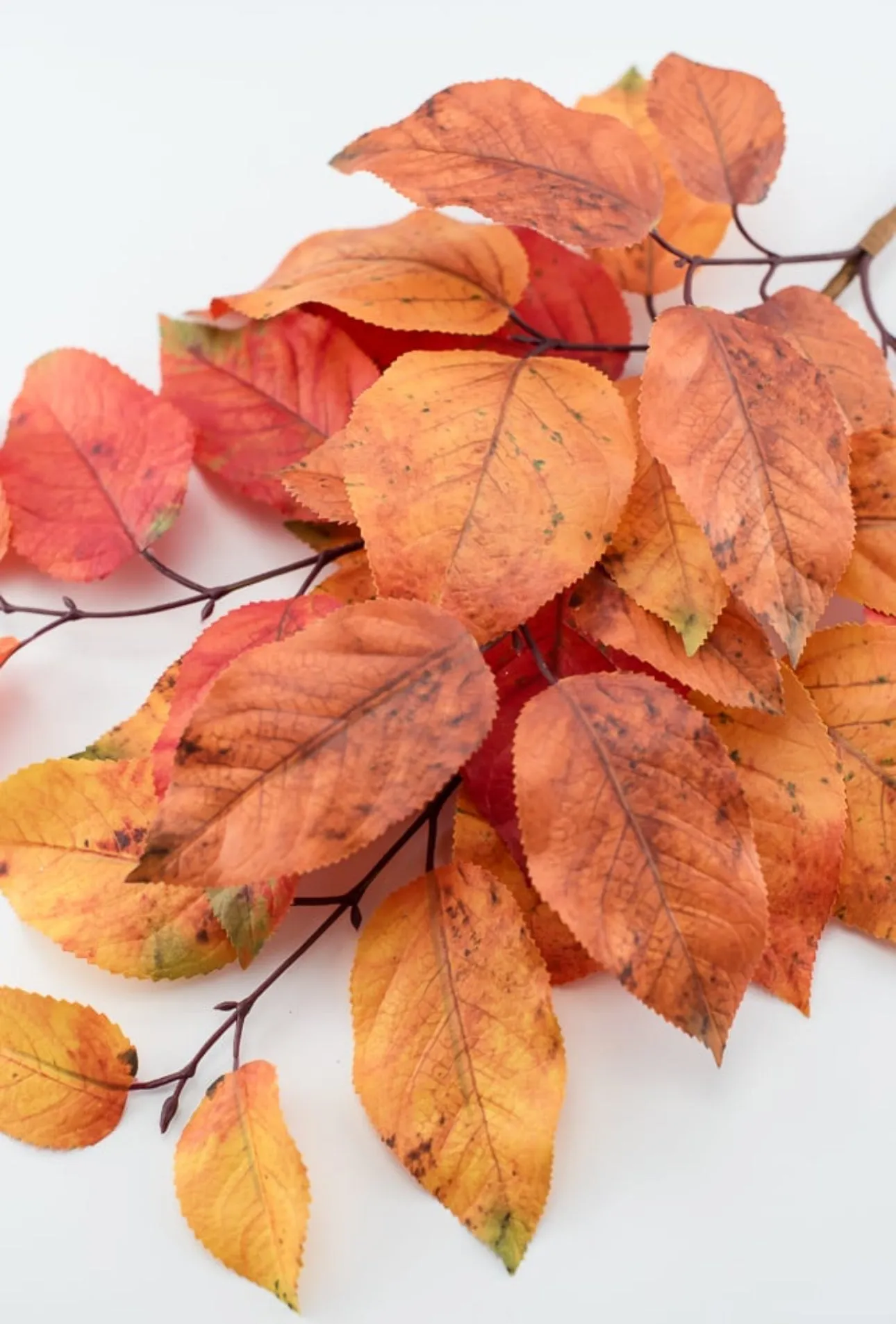 Autumn salal leaves spray - rust orange