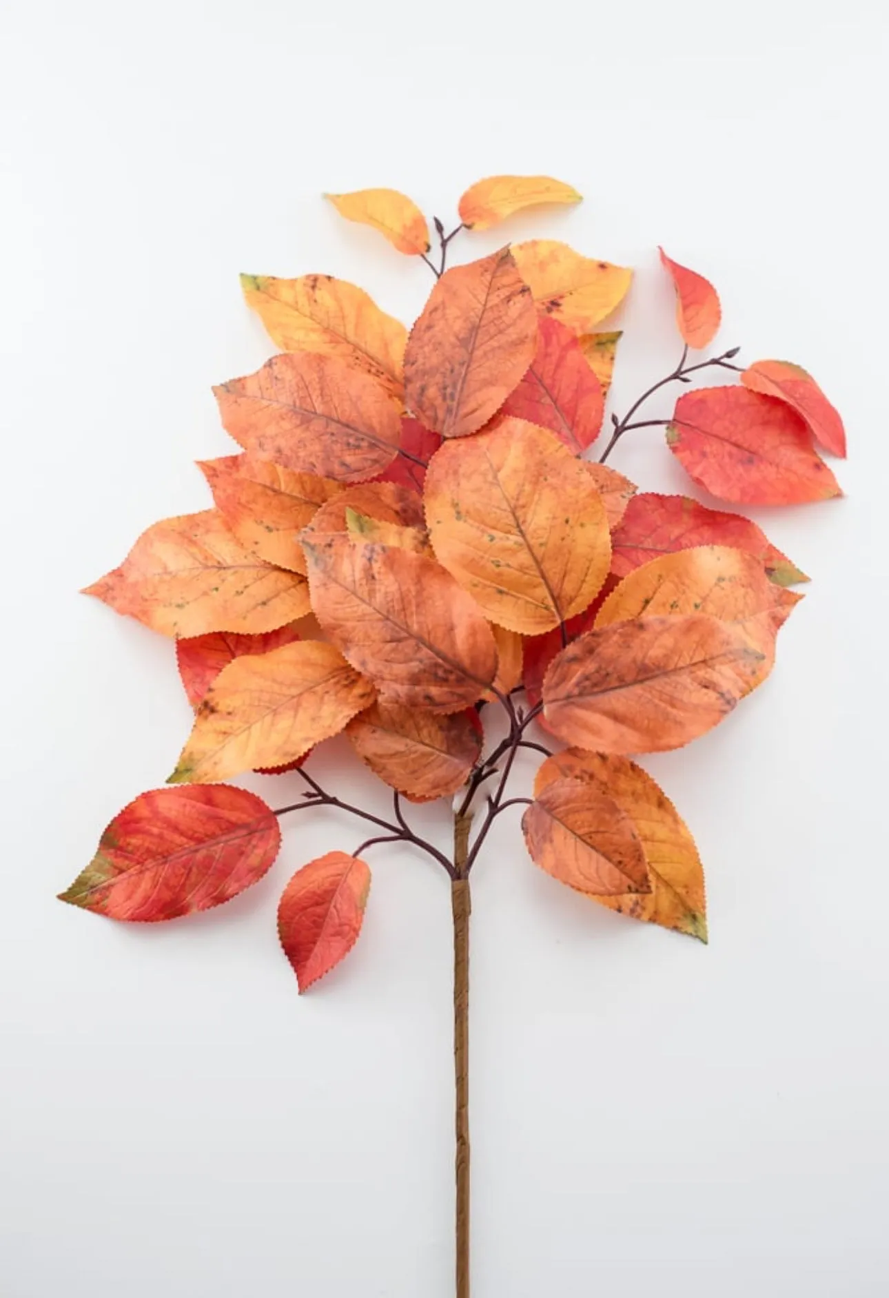 Autumn salal leaves spray - rust orange