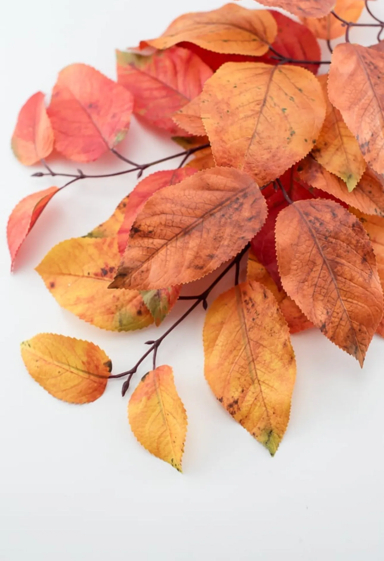 Autumn salal leaves spray - rust orange