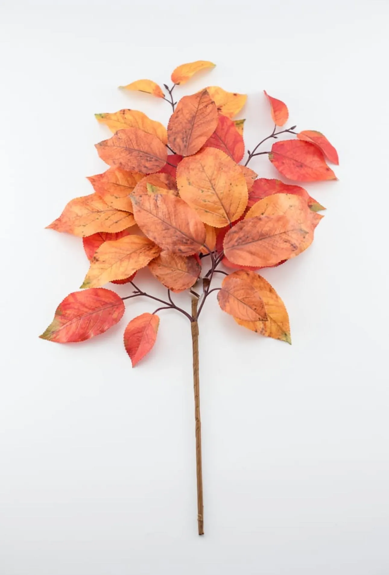 Autumn salal leaves spray - rust orange