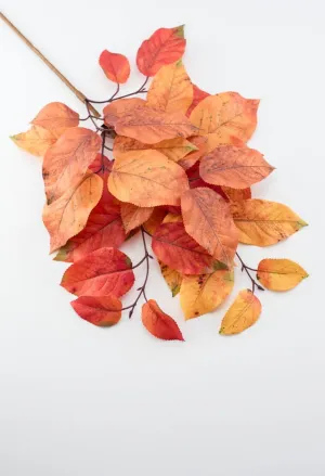 Autumn salal leaves spray - rust orange
