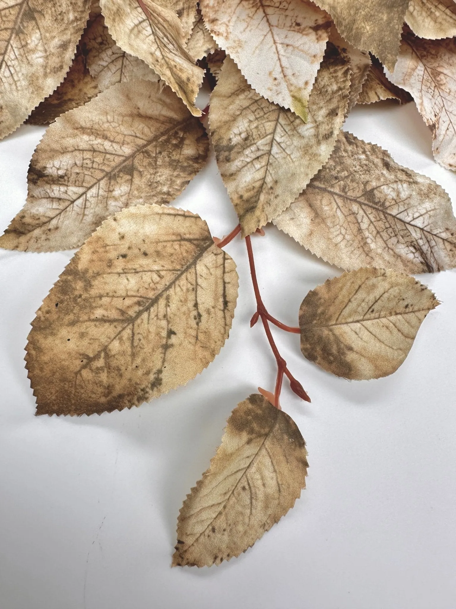 Brown mix salal leaves spray