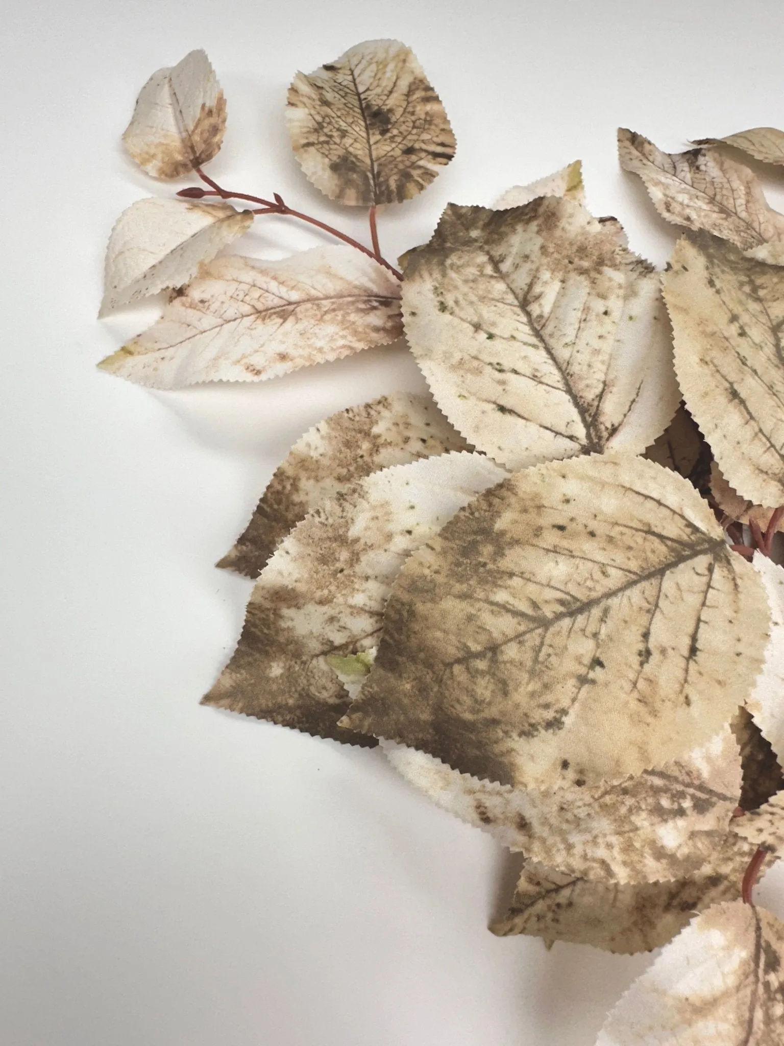 Brown mix salal leaves spray