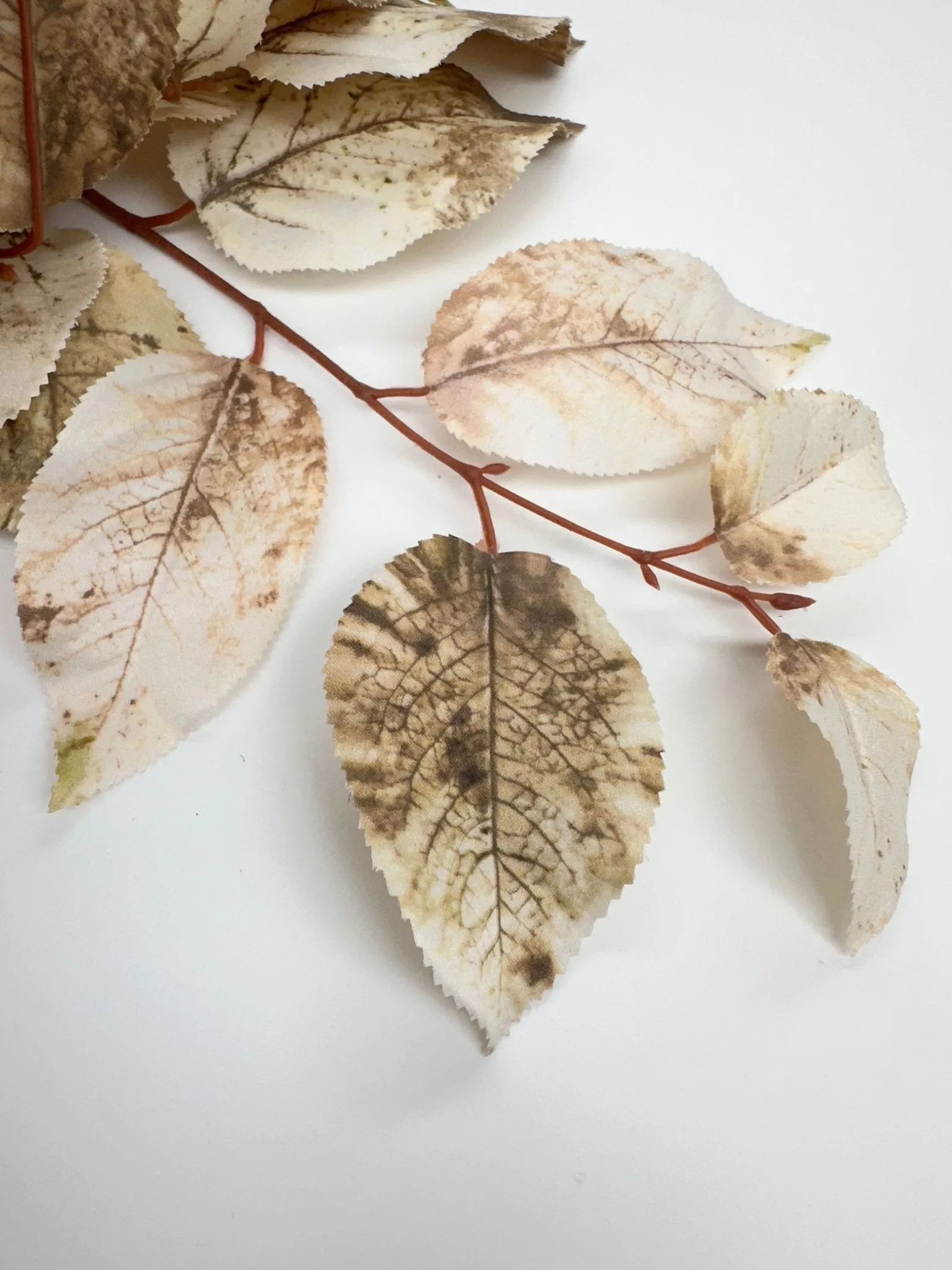 Brown mix salal leaves spray