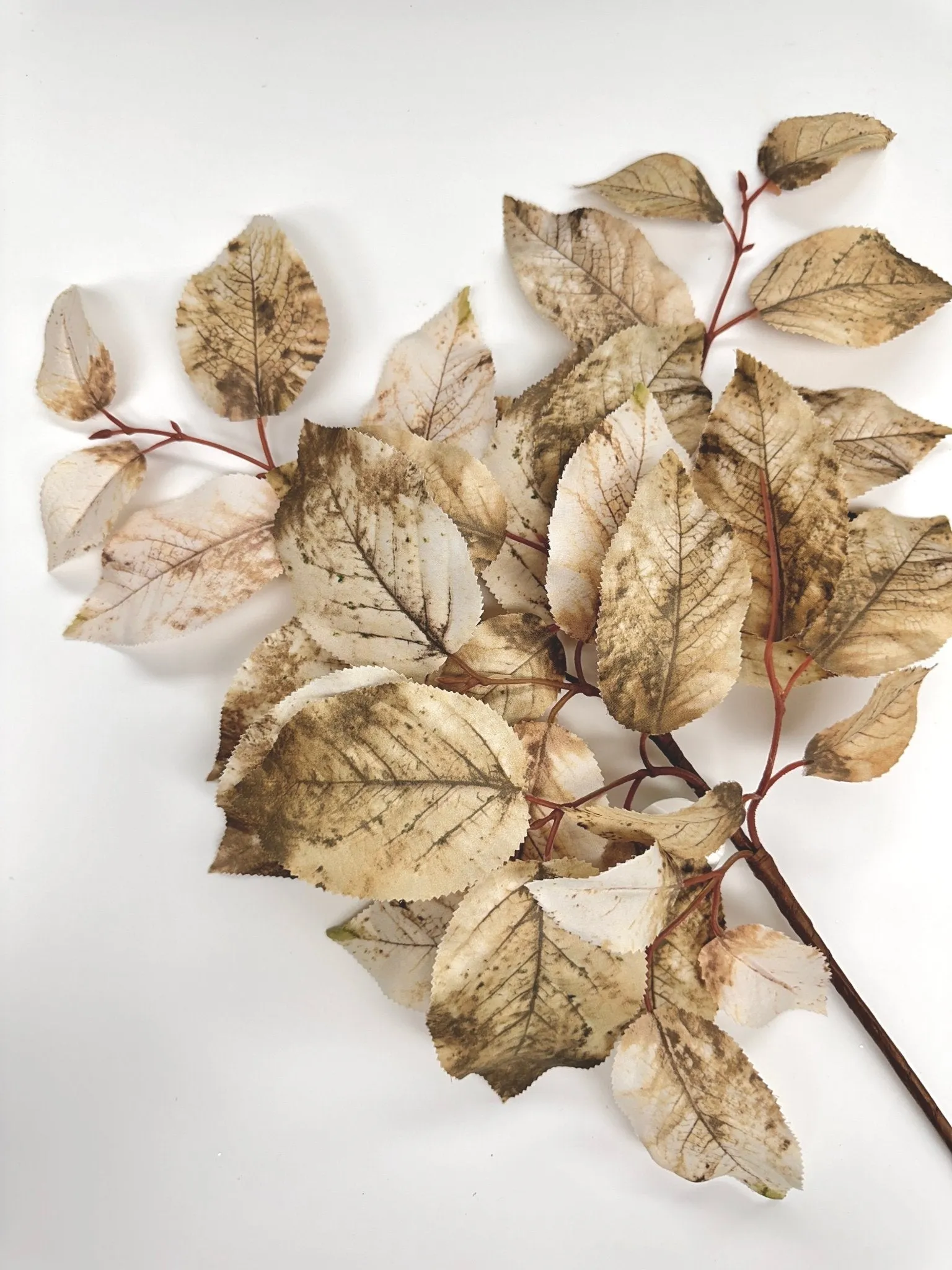 Brown mix salal leaves spray