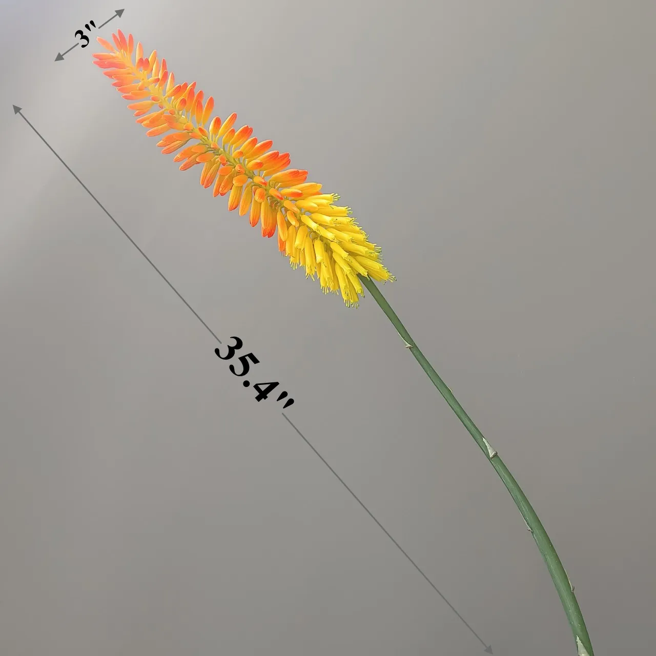 Bulk 35" Extra Long Aloe Flower Stems Real Touch Fall Decoration Wholesale