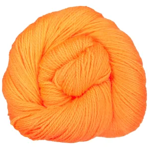 Cascade Yarns 220 Superwash Fingering Yarn - 07 Bird of Paradise