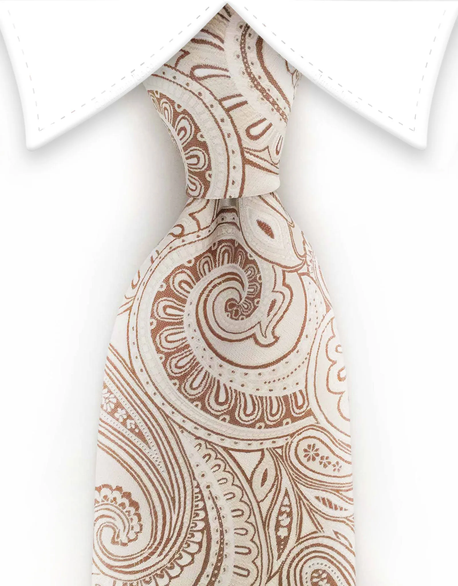 Champagne Beige Paisley Tie