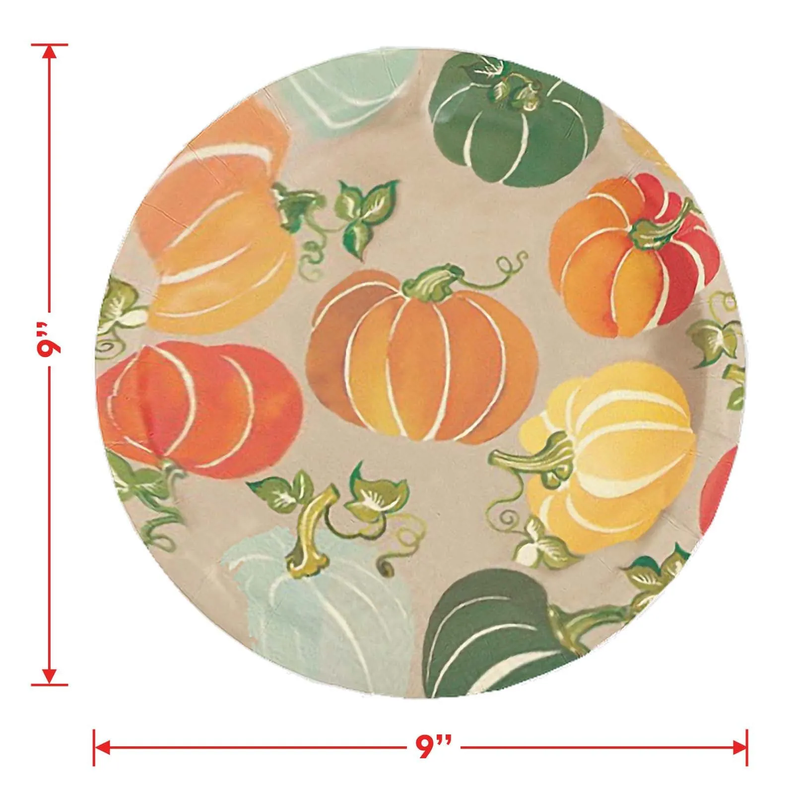 Colorful Fall Pumpkins Round Paper Dinner Plates and Lunch Napkins (Serves 16)