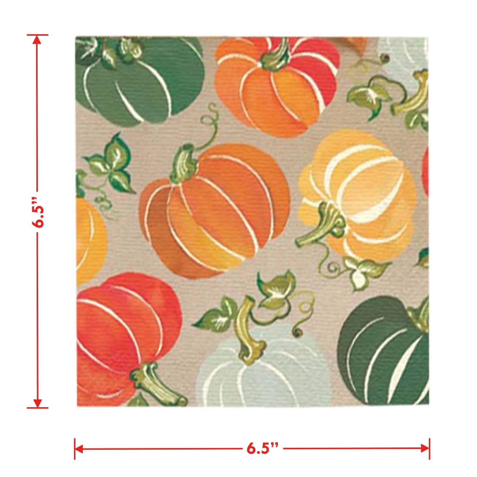 Colorful Fall Pumpkins Round Paper Dinner Plates and Lunch Napkins (Serves 16)