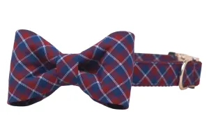 Country Club Bow Tie Dog Collar