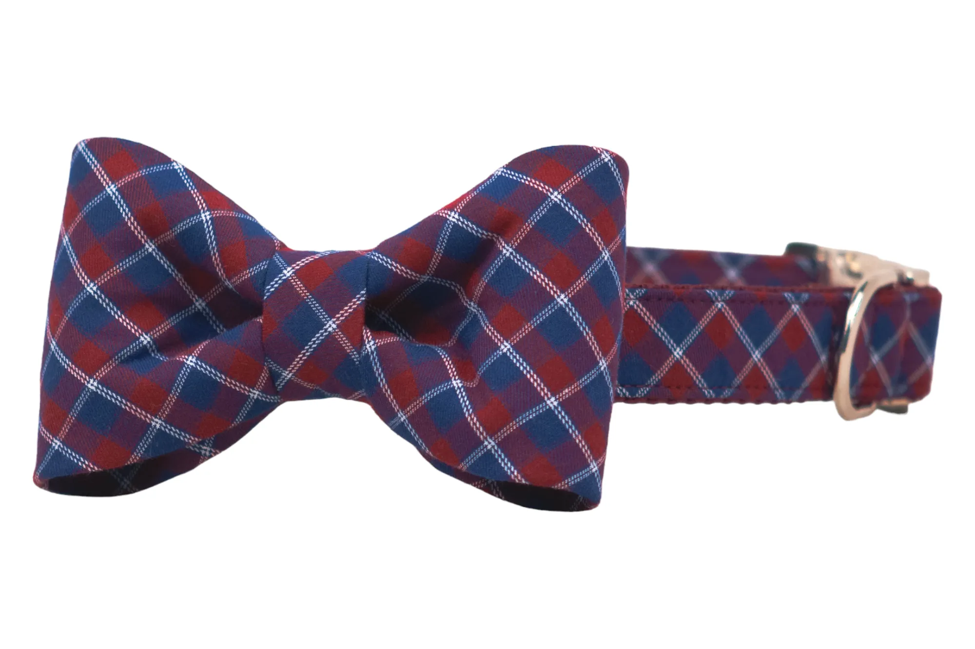 Country Club Bow Tie Dog Collar