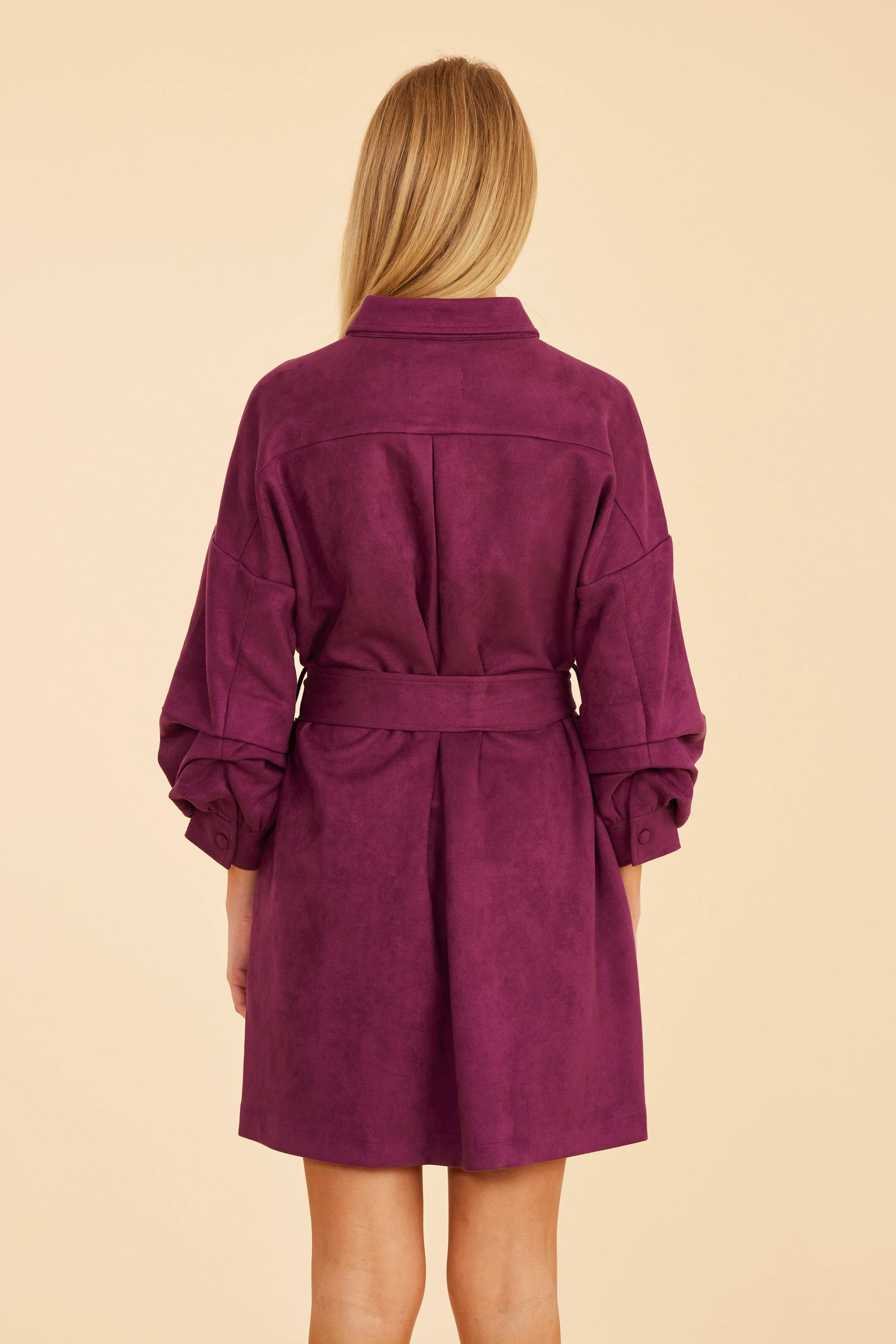Faux Suede Belted Dress with Ruched Sleeves