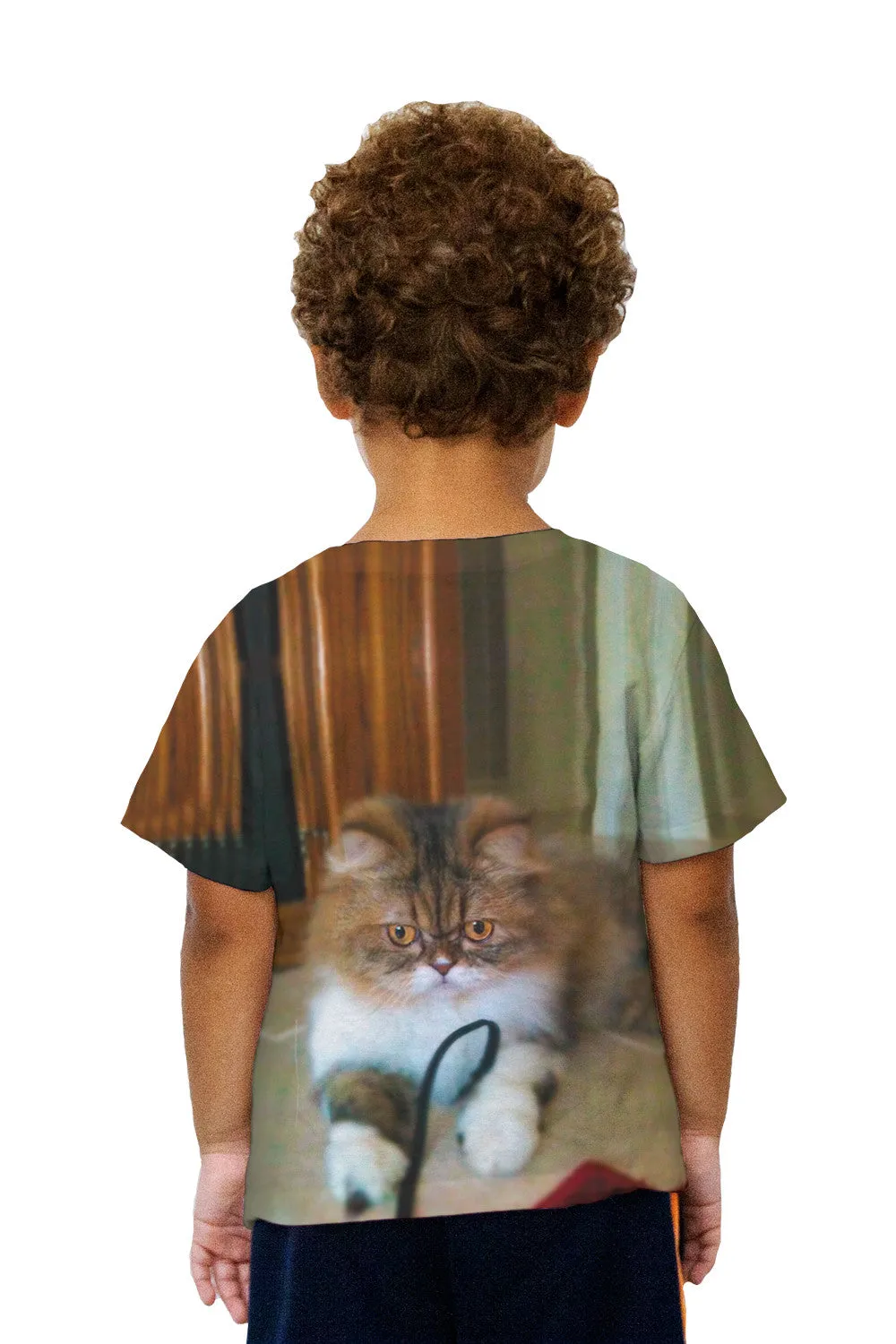 Kids Fall Soft Kitty Cat