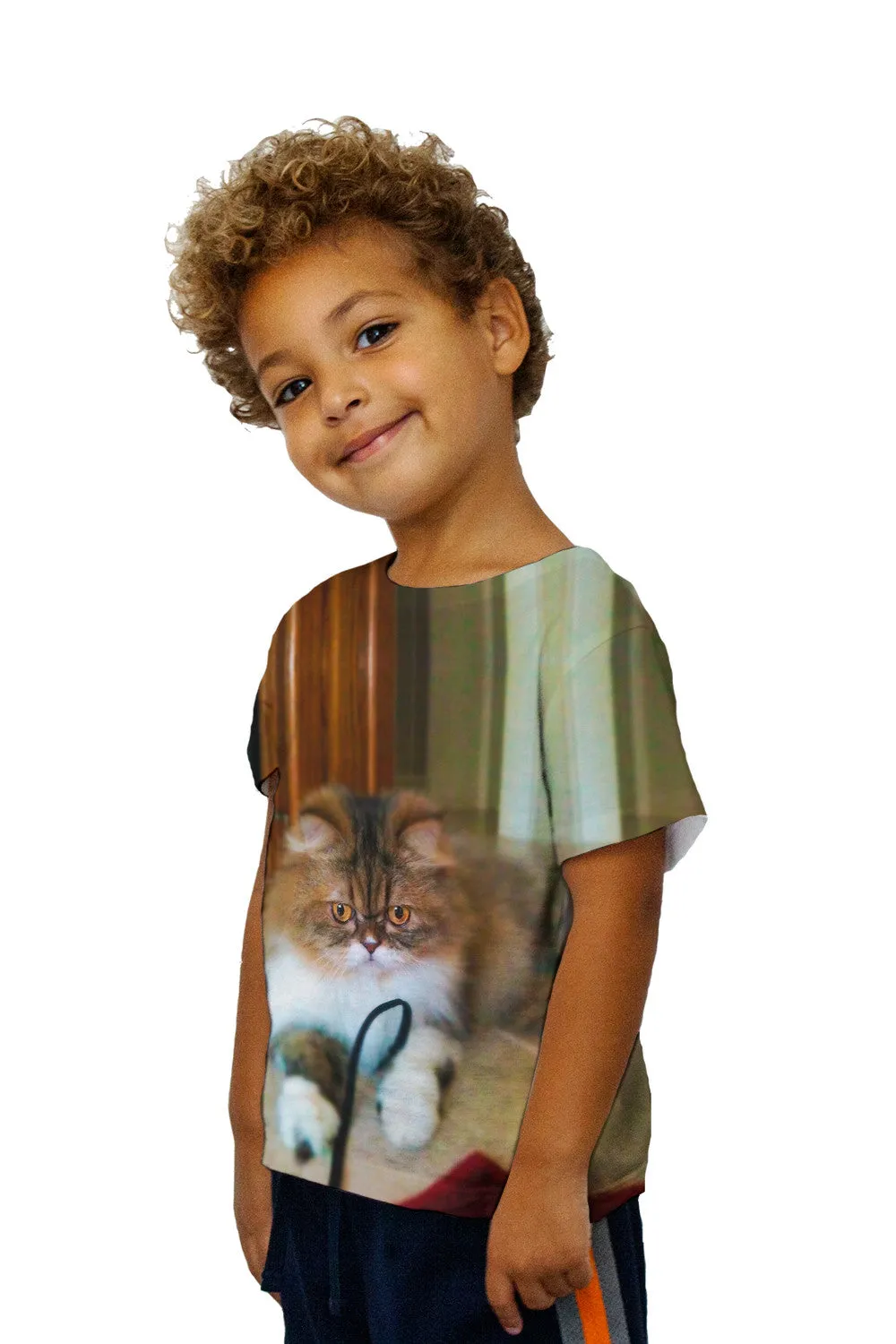 Kids Fall Soft Kitty Cat