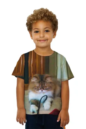 Kids Fall Soft Kitty Cat