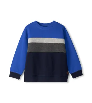 Salute Stripe Pull Over Panel Sweatshirt