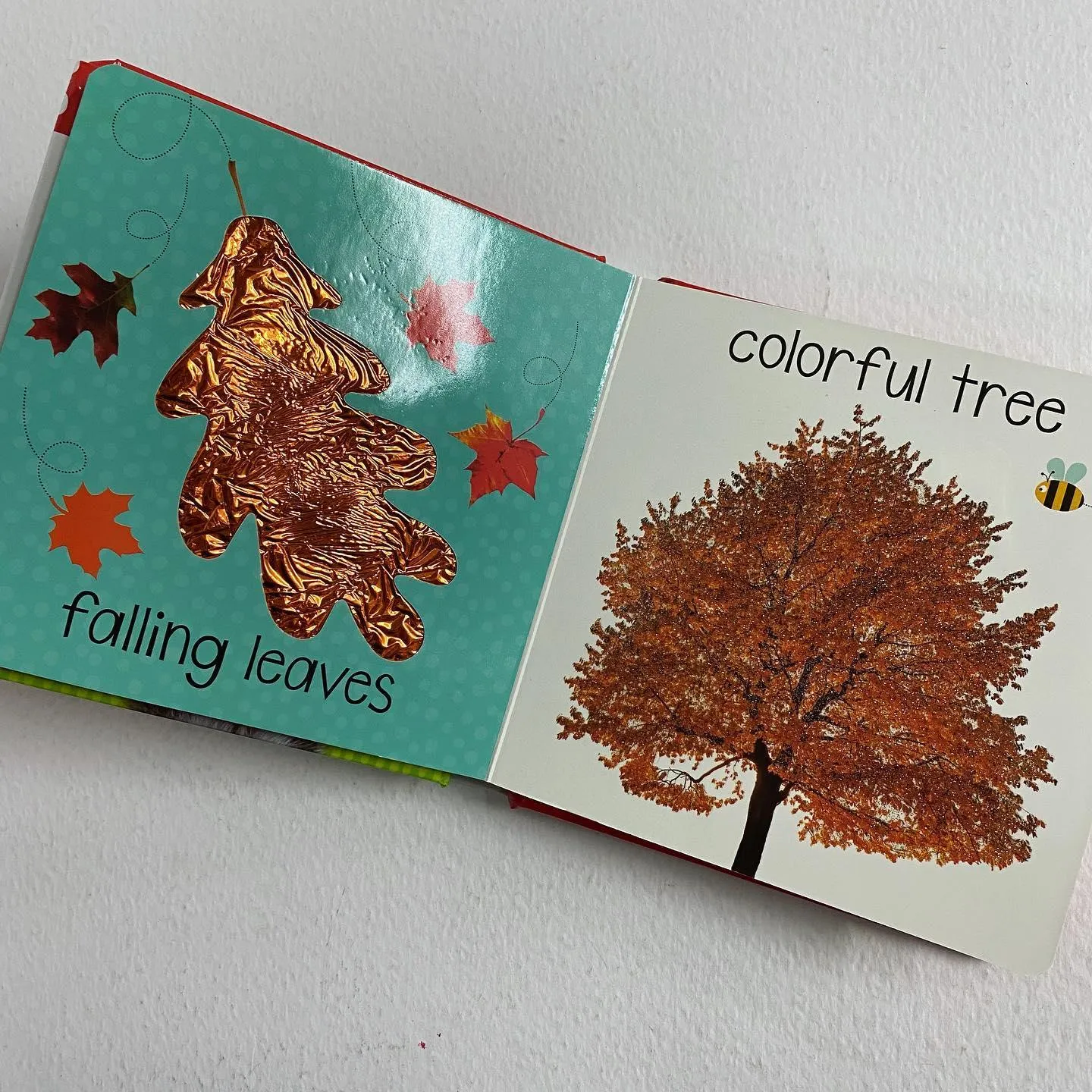 Scholastic Early Learners - Touch and Feel Fall