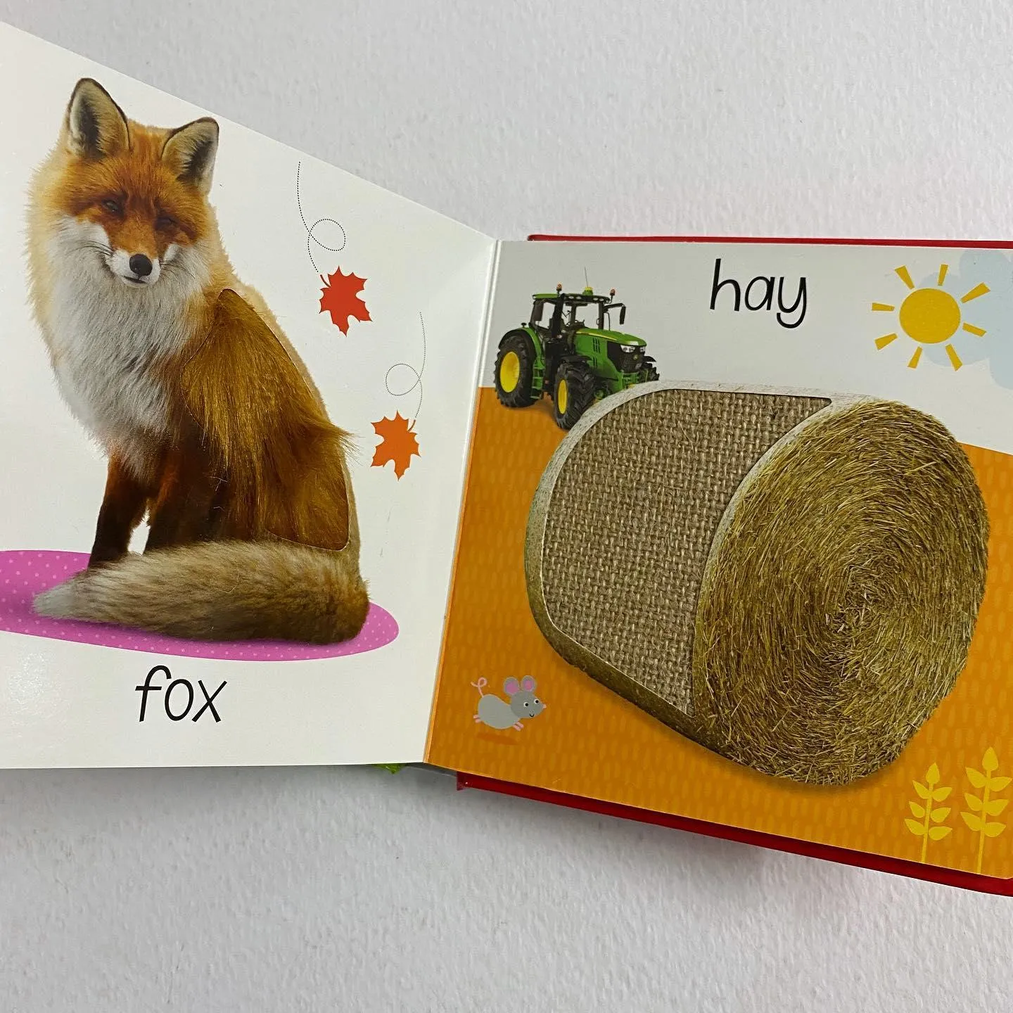 Scholastic Early Learners - Touch and Feel Fall