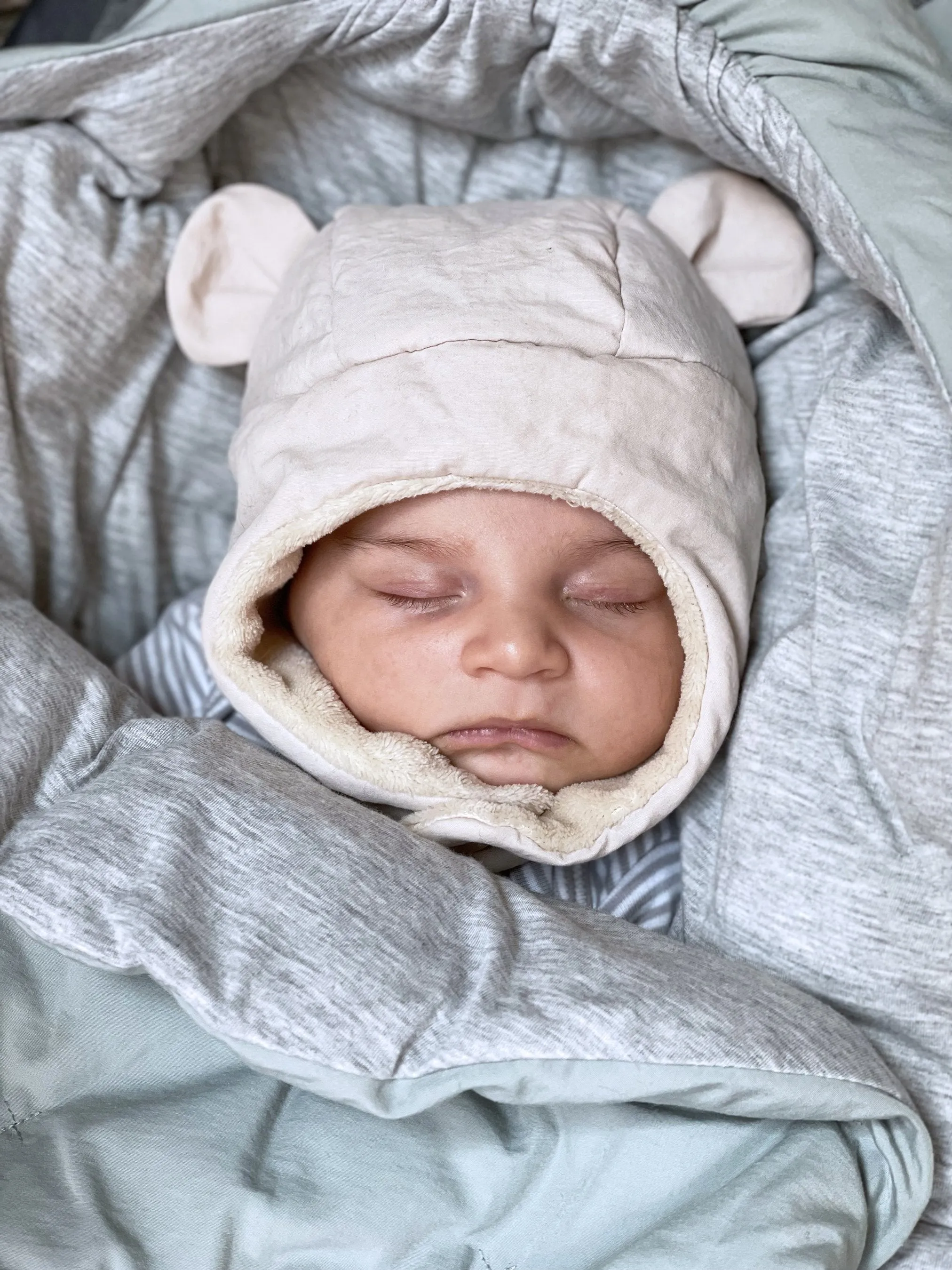 The Cub Hat - Airy
