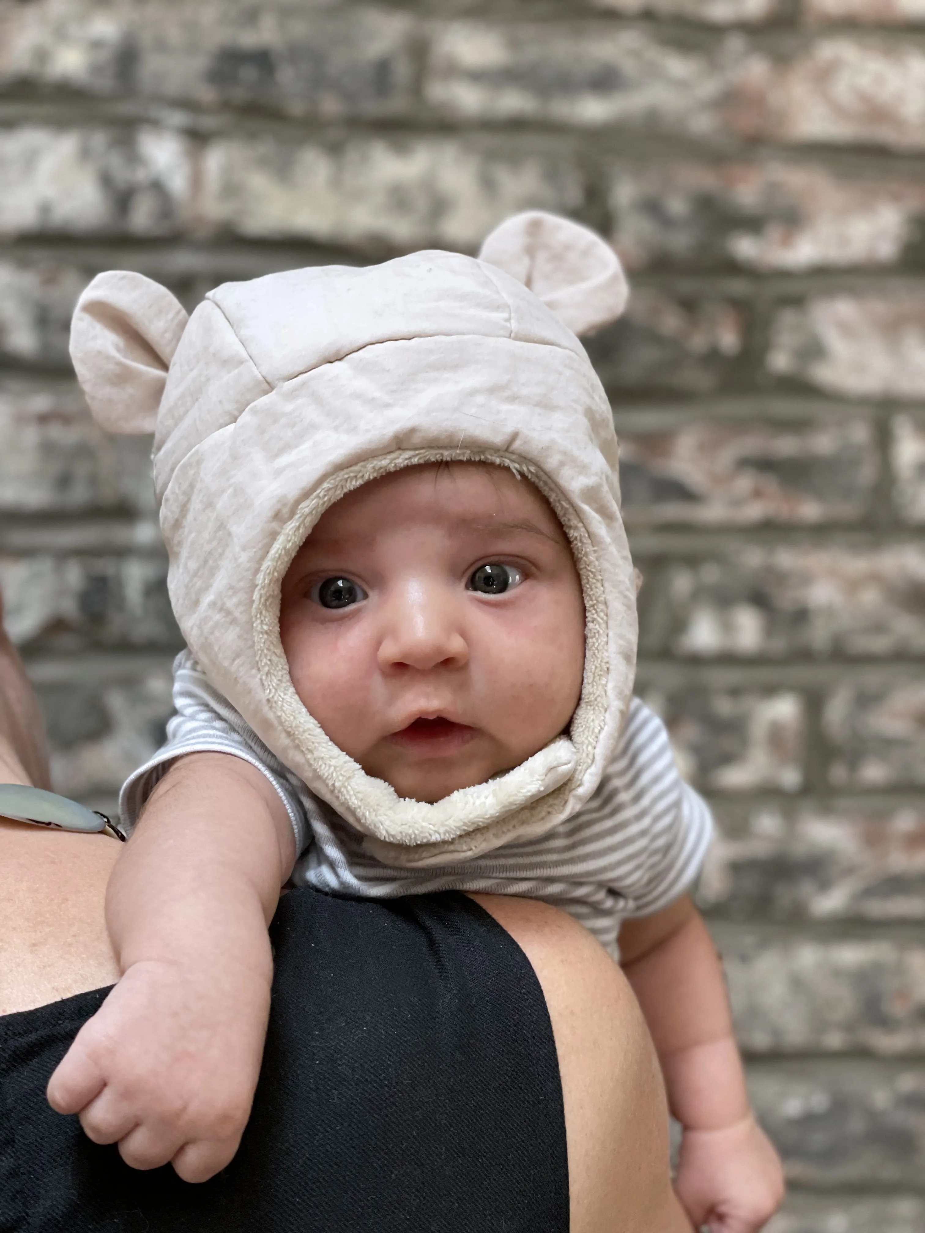 The Cub Hat - Airy