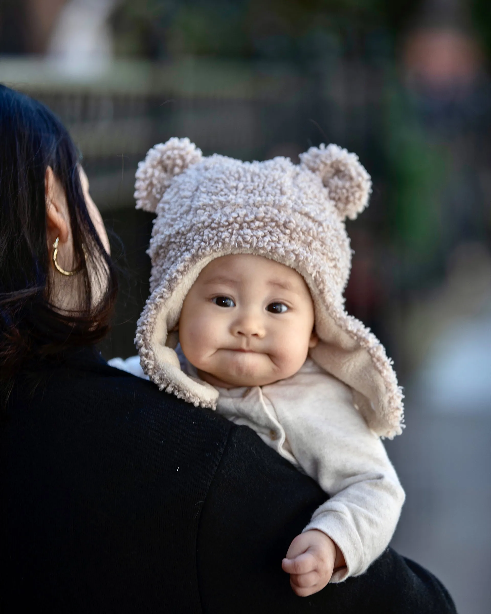 The Cub Hat - Teddy