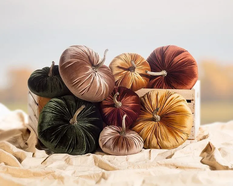 Velvet Pumpkins