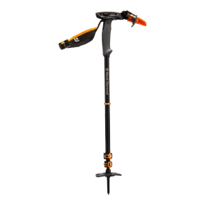Whippet Ski Pole